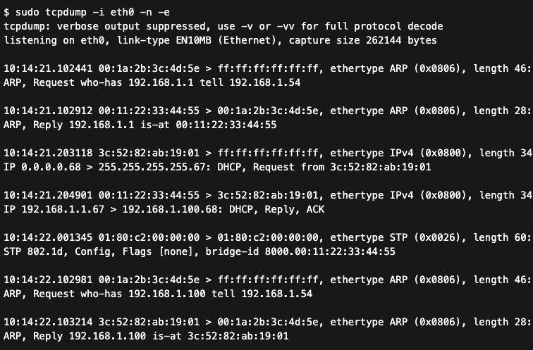 Logi z narzędzia tcpdump dokumentujące wystąpienie pętli w sieci LAN.
