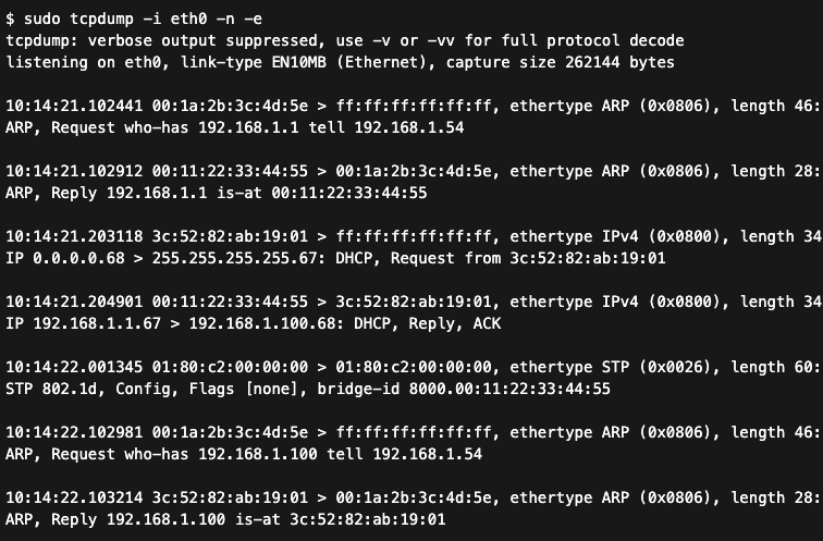 Logi z narzędzia tcpdump dokumentujące wystąpienie pętli w sieci LAN.